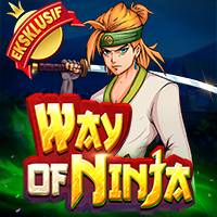 RTP Way of Ninja